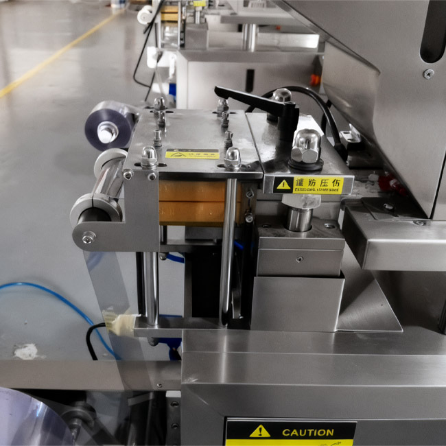 DPP-100 Blister Packaging Machine
