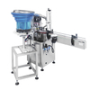 Belt Type Capping Machine HED-DXG