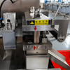 DPP-100 Blister Packaging Machine