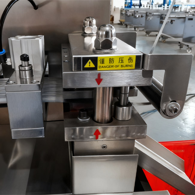 DPP-100 Blister Packaging Machine
